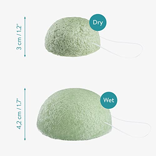 Navaris Konjac Sponges - Set of 8 - Facial & Body Natural Konjac Sponge Puffs - Exfoliating & Cleansing Face & Skin Sponges for Bath & Shower - 8-Pack